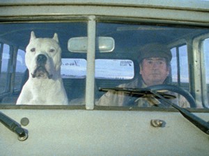 Bombon- El Perro