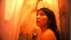 St. John's Wort St. John's Wort