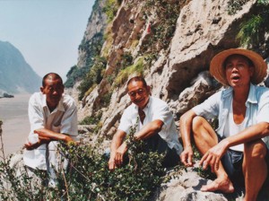 Die chinesischen Schuhe