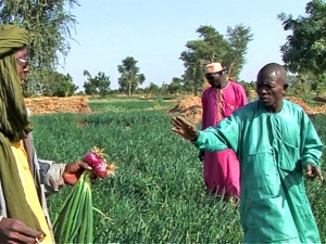 Pour le meilleur et pour l'oignon!