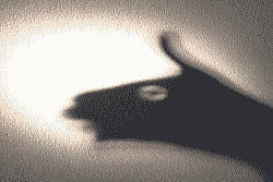 Schattenbild eines Tierkopfs