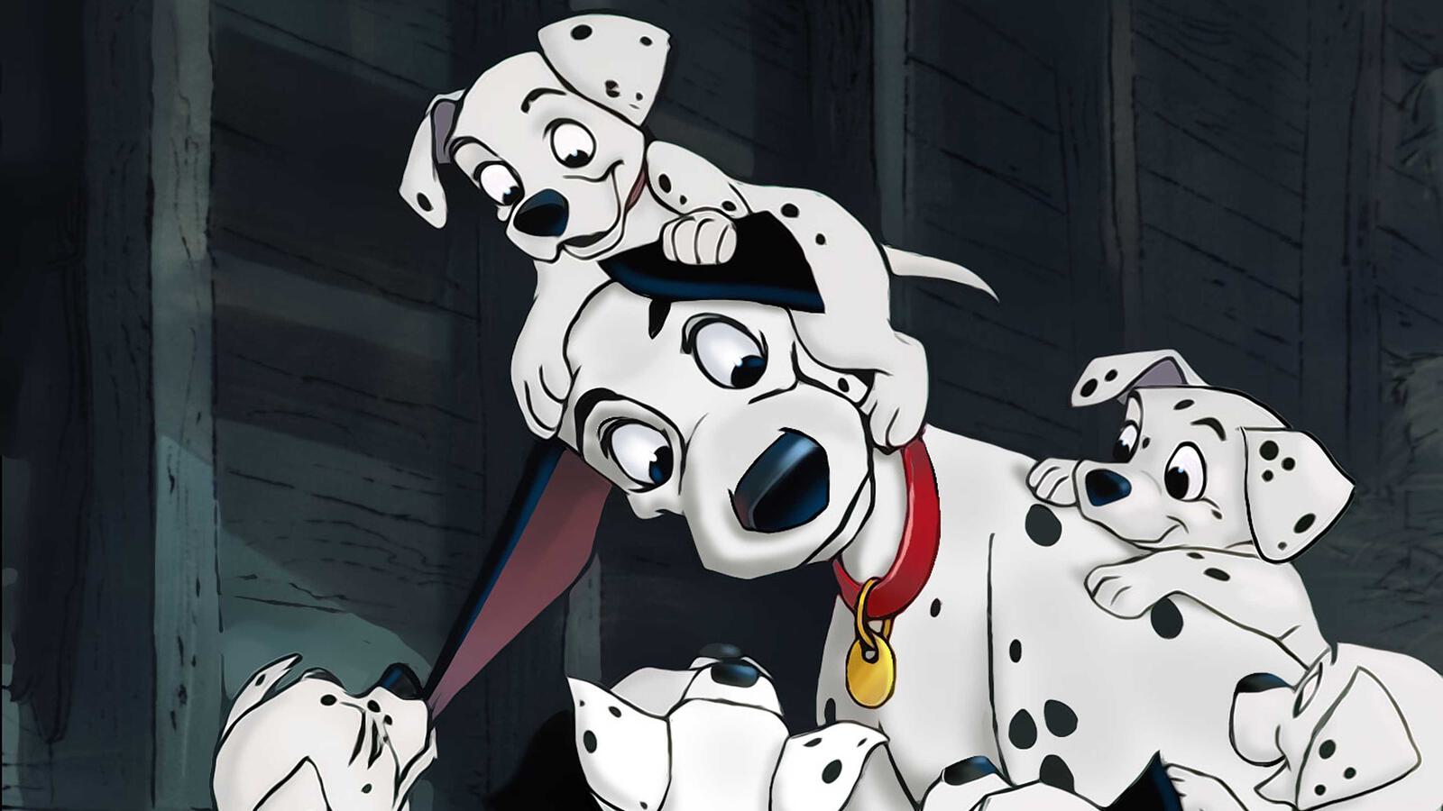 D 101Dalmatiner 4000