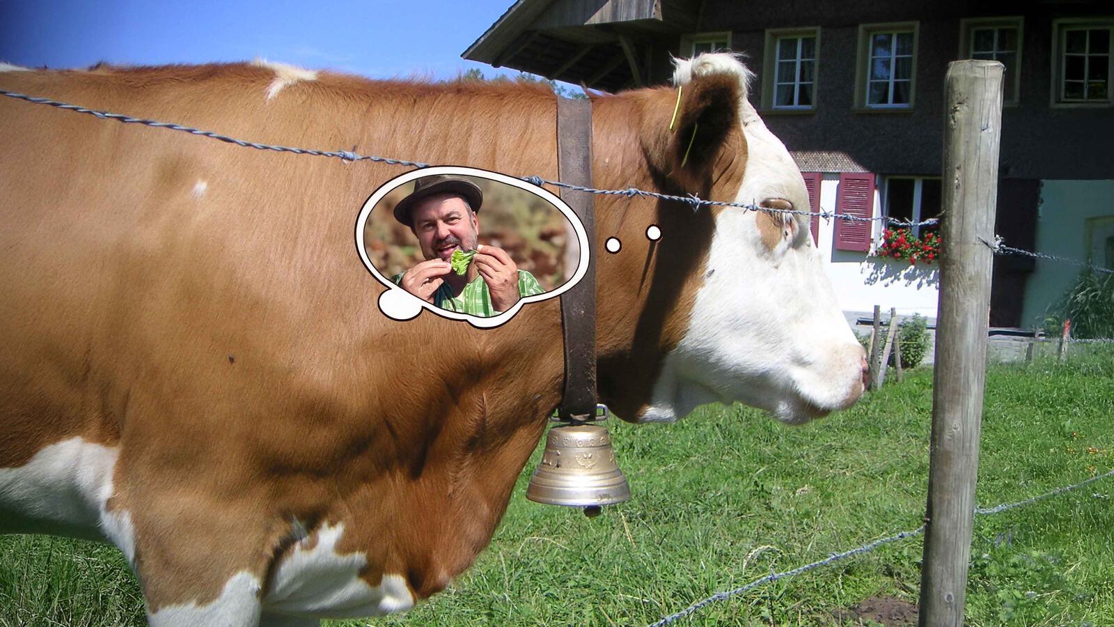 Filme fuer Vegetarier 4000