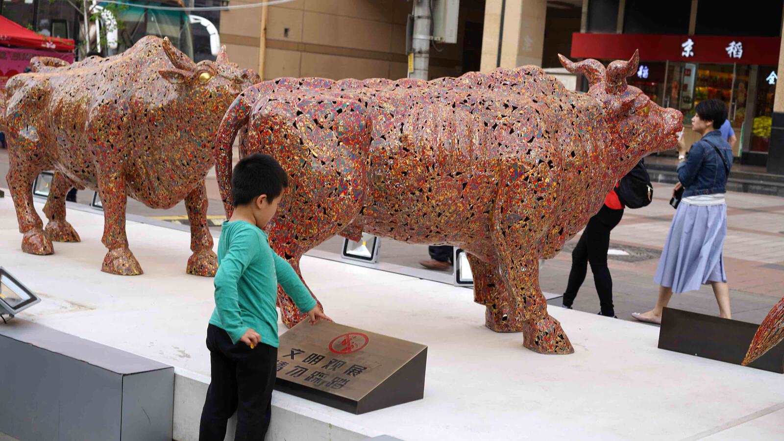 Fotografie Peking 1 4000