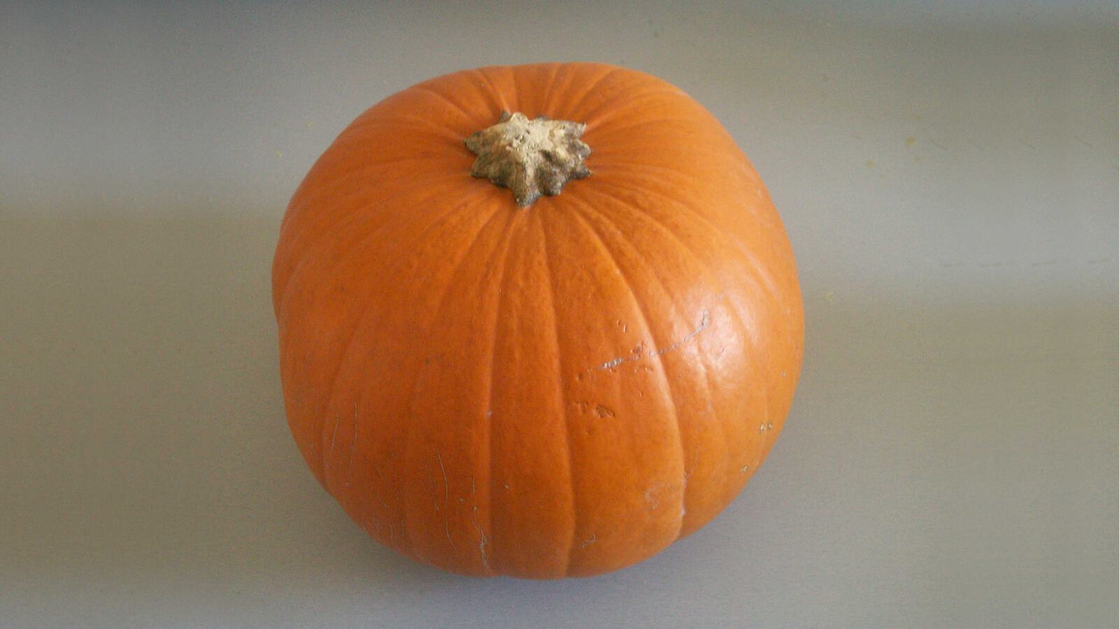 Plastizität kann man auch in 2 Dimensionen durch Licht und Schatten unterstreichen