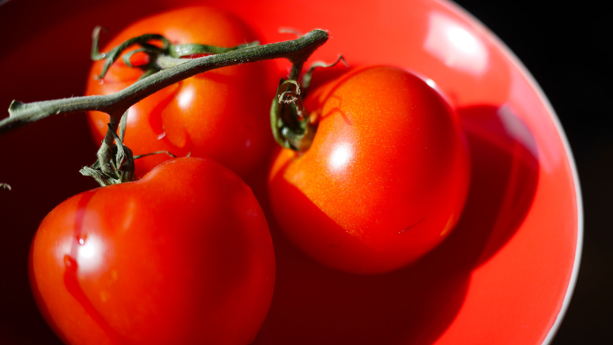 Tomaten in roter Schale