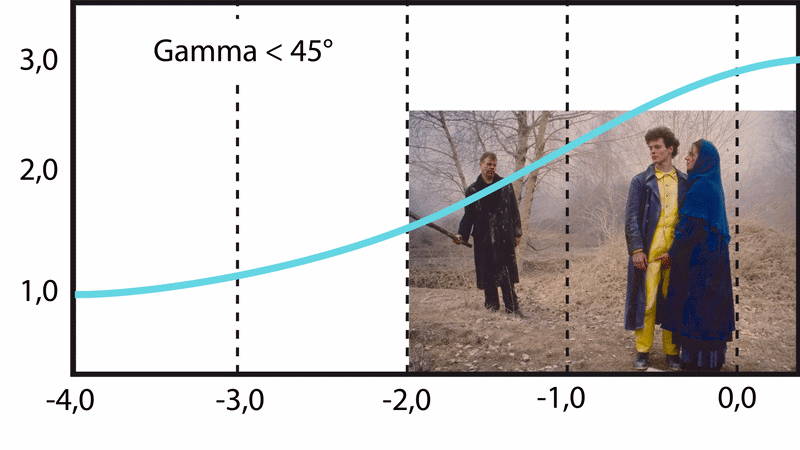 Gamma Curve