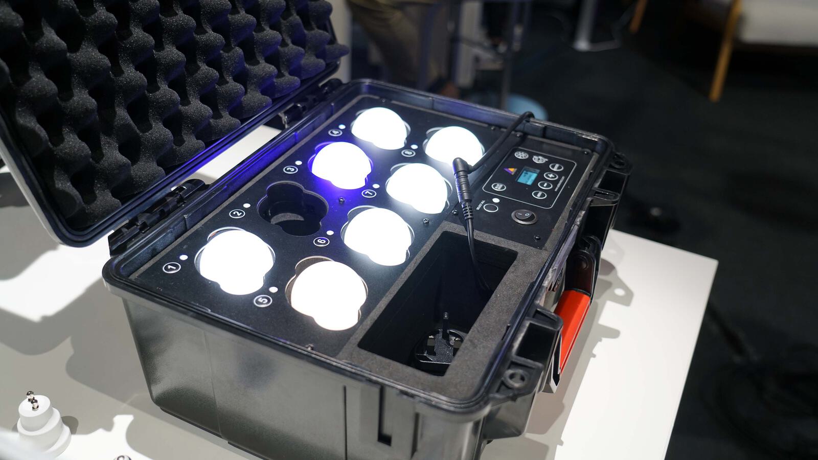 Steuerbare Birnen 1 4000