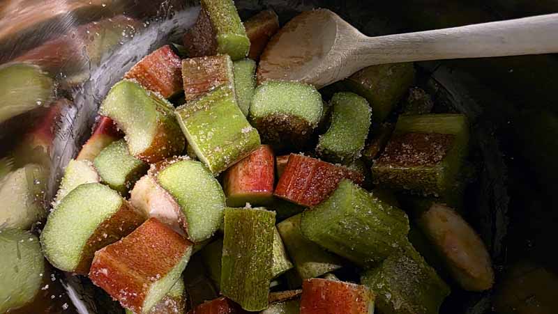 Catering: Rhabarberkompott