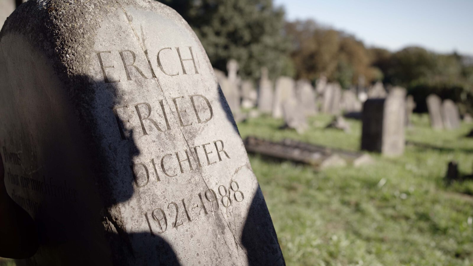 DOKfest Friendly Fire 2 4000