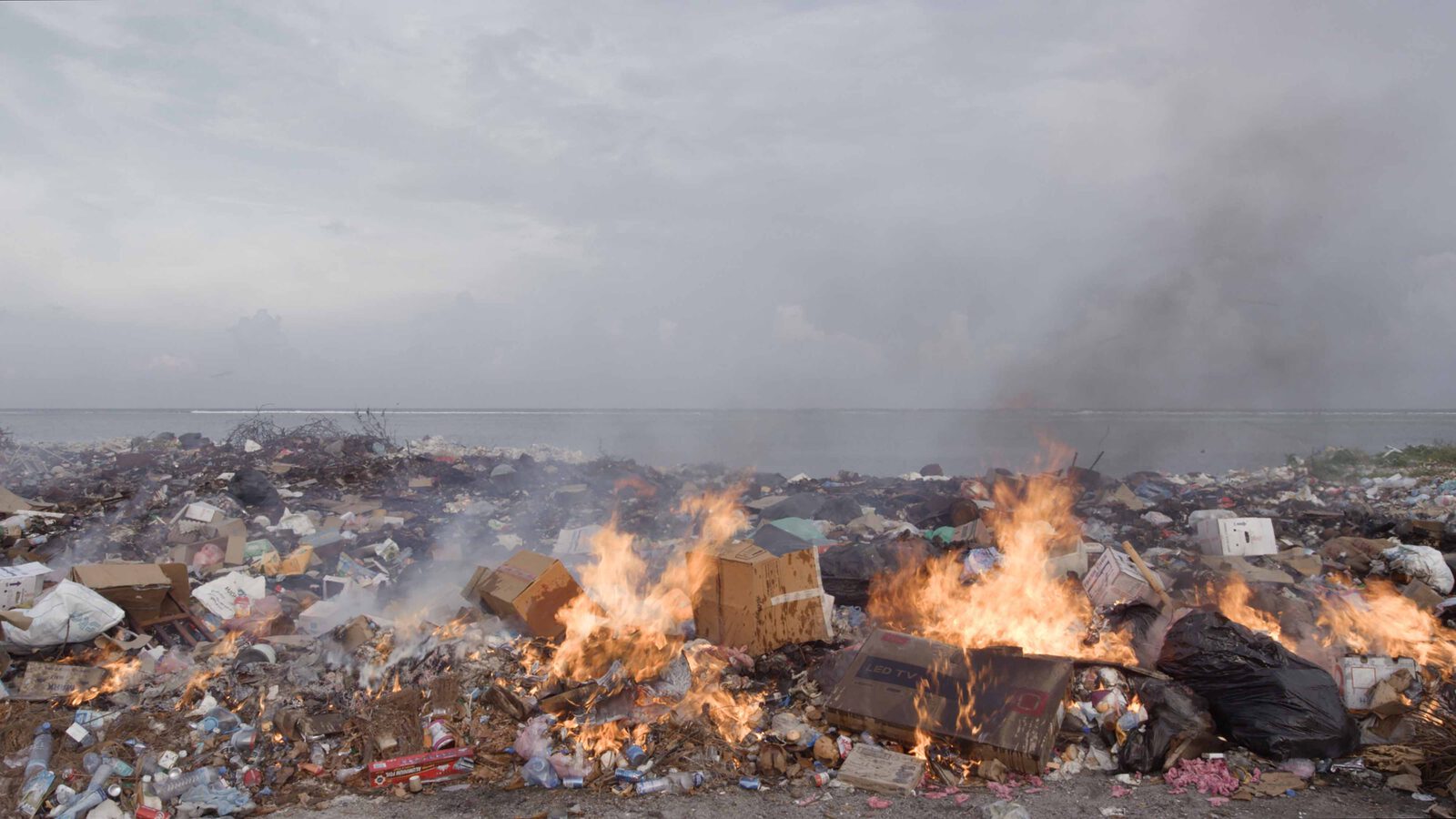 DOKfest MATTER OUT OF PLACE 4000