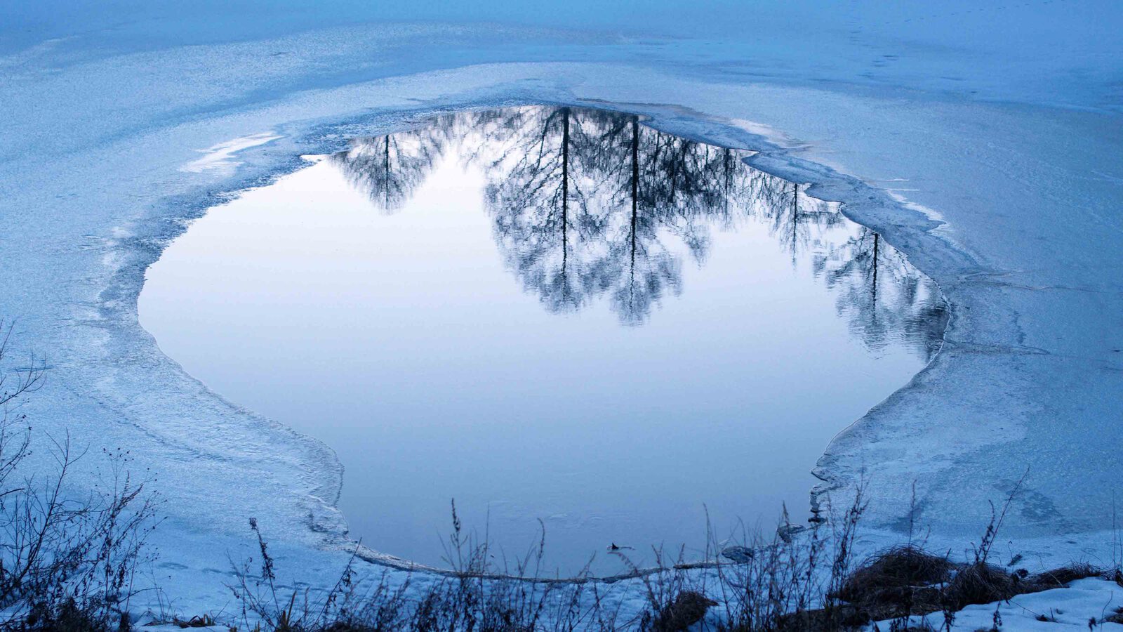 evil does not exist stills foto 5 4000