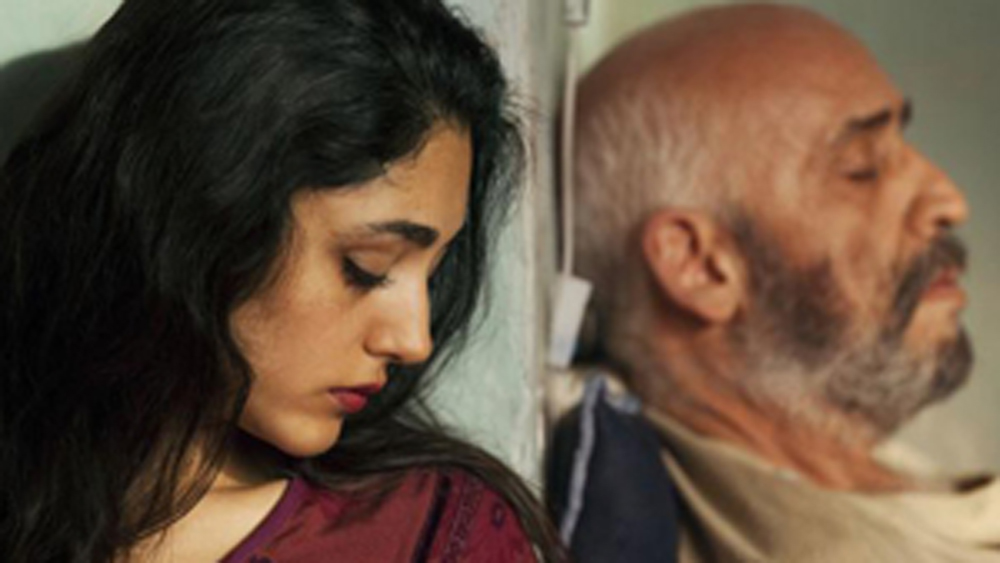 stein der geduld 1000