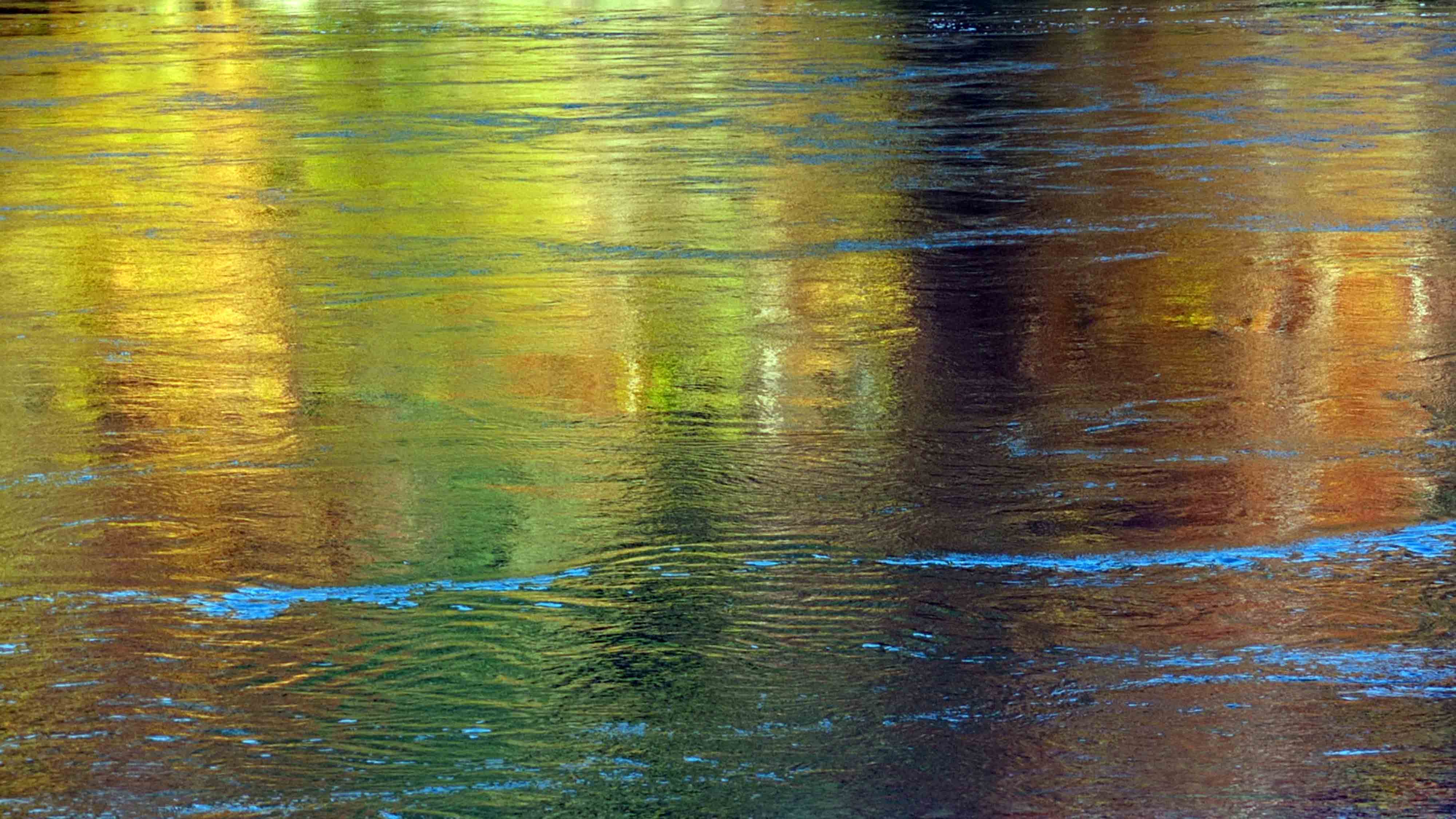 Herbstlaub spiegelt sich im Wasser
