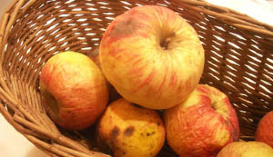 Film-Datenbank Sex-Täter