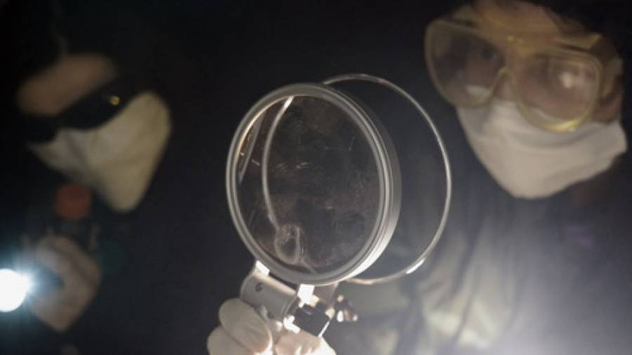 Virus & Pandemie Filme