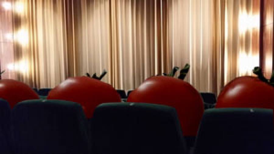 Hollywoods Tomatoes