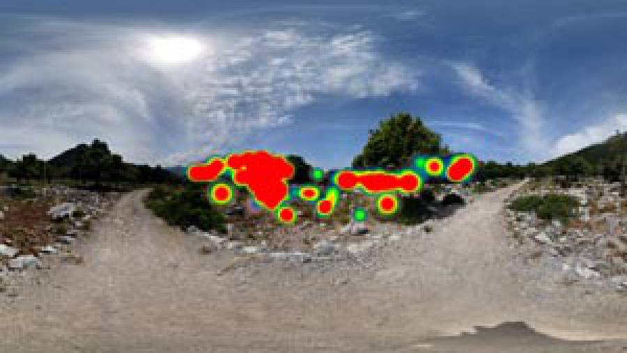 VR Heatmaps